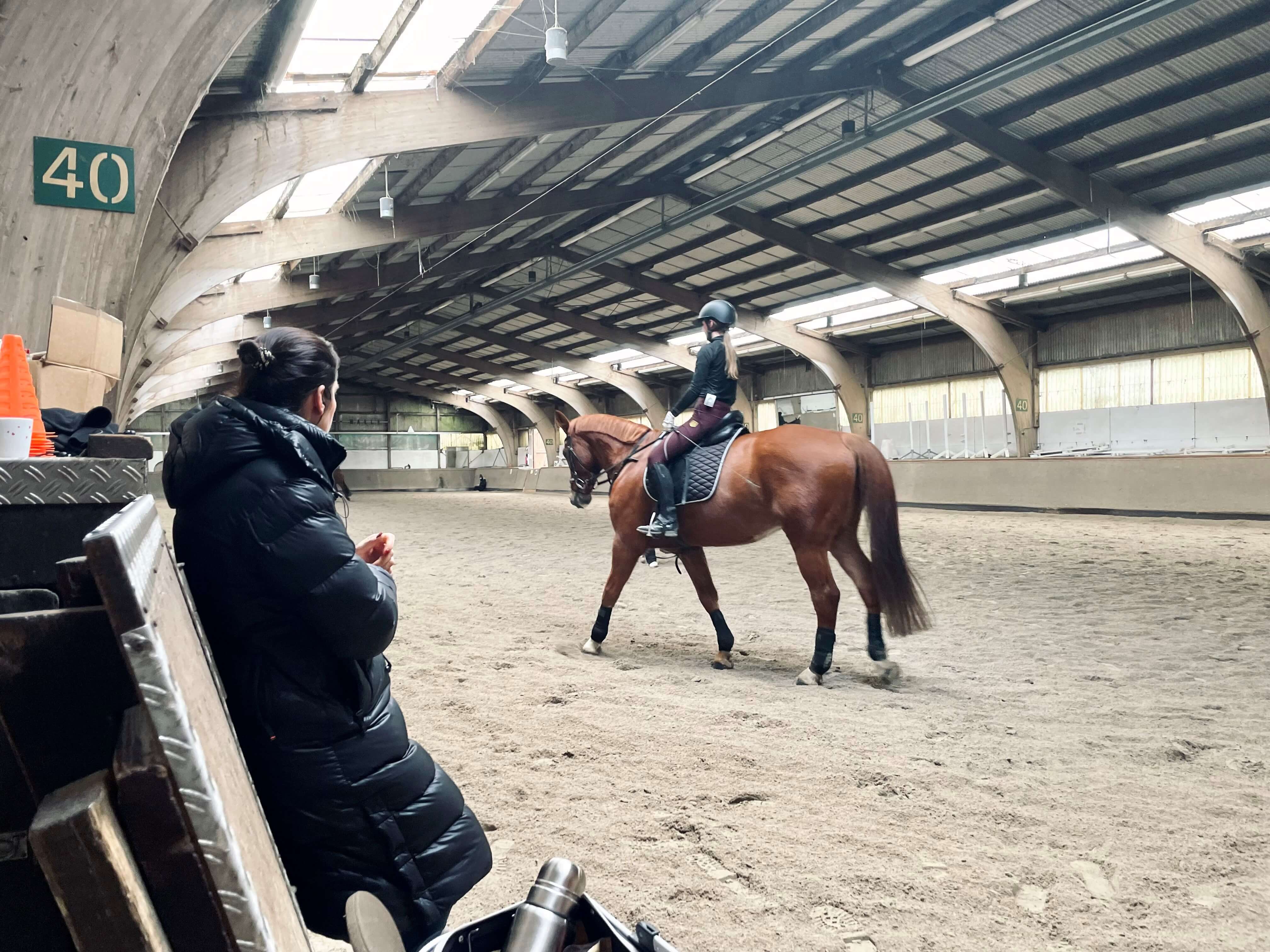 2023_01_Dressurlehrgang-1.jpg