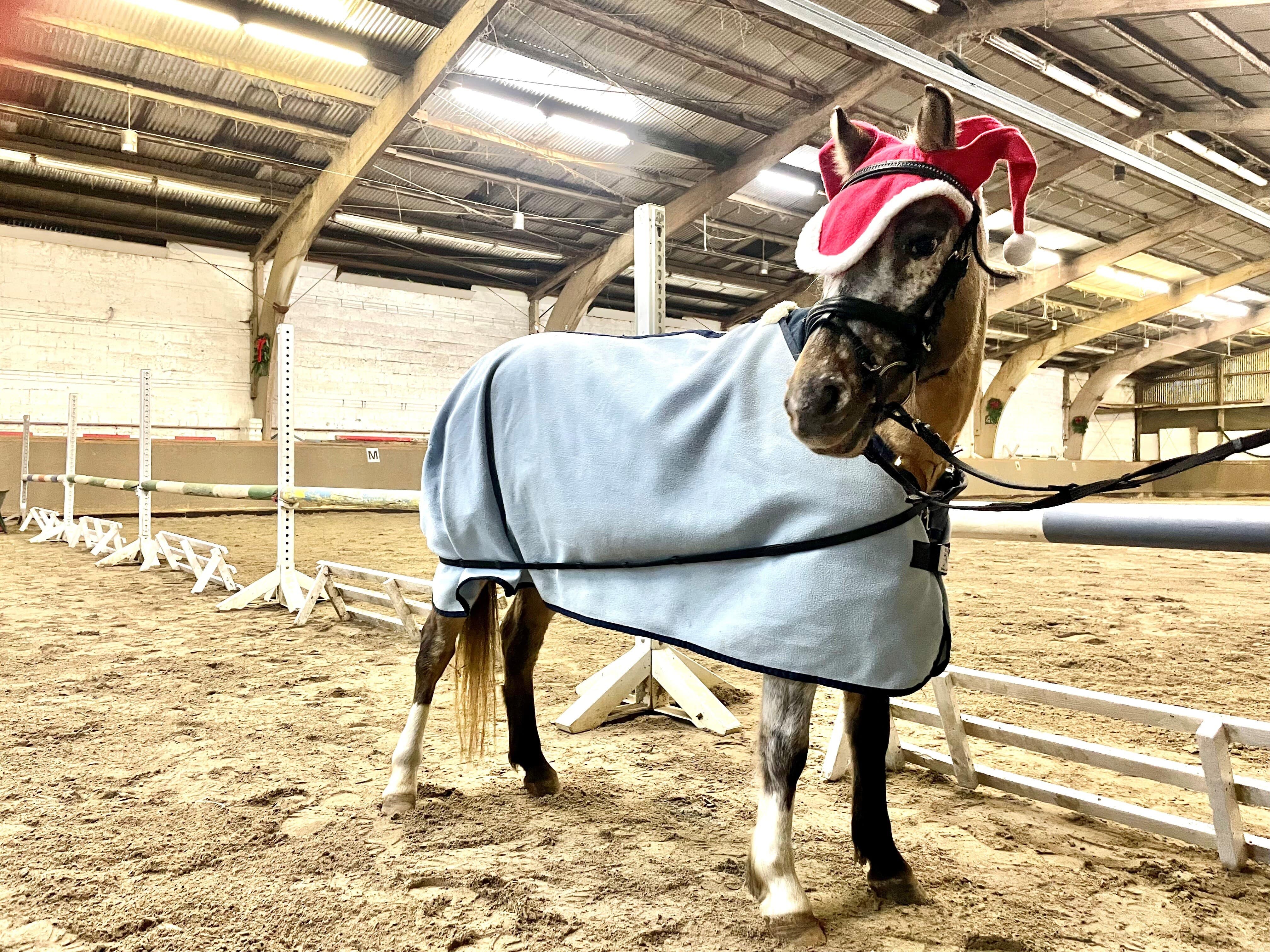 weihnachtsfeier-9.jpg